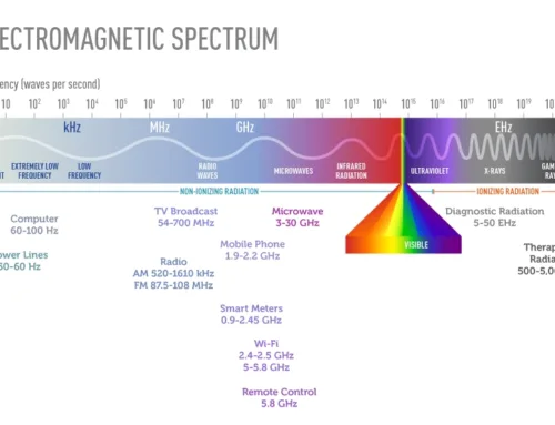 Negative Effects of Magnets on the Human Body Explained by NBAEM