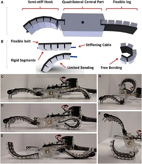 Applications de robotique souple