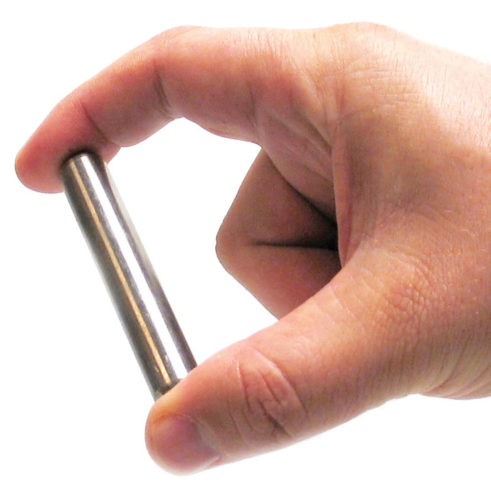 Funktion des Magents im Rindermagen