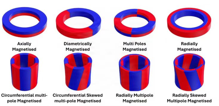 Multipole Magnetic Ring Magnetization orientation