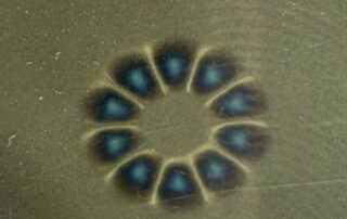 Pictures of a magnetic field